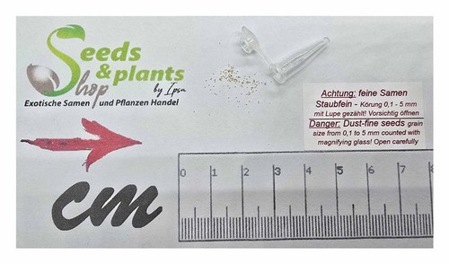 20x acrolophia capensis - 20x,