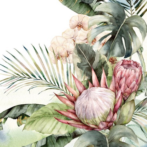 Servietten protea orchids - 20, &