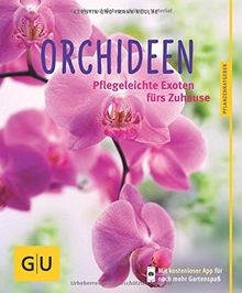 Orchideen pflegeleichte - orchideen:,