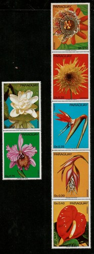 Exotic flowers orchids - flowers,