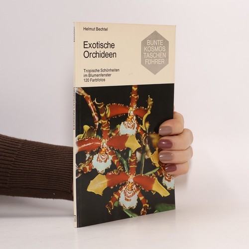 Exotische orchideen - exotische, orchideen 