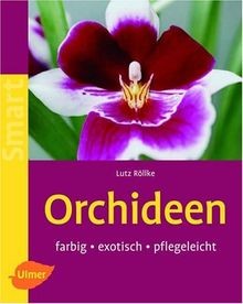 Orchideen farbig exotisch - orchideen:,