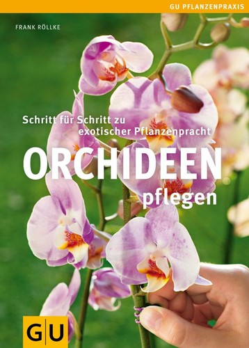 Orchideen pflegen schritt - orchideen,