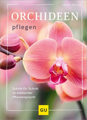 Orchideen pflegen schritt - orchideen,