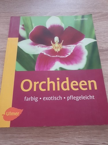 Orchideen farbig exotisch - orchideen.,