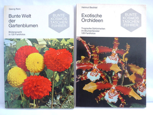 Bunte welt der gartenblumen - welt,