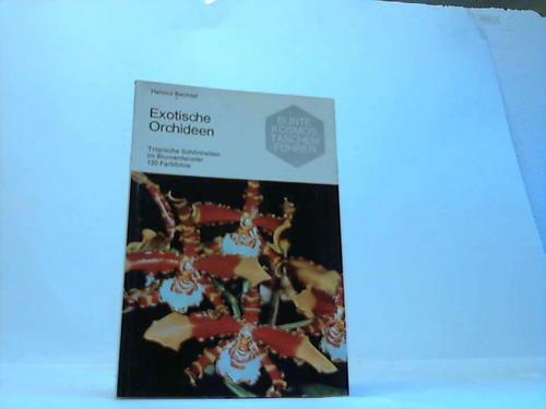 Exotische orchideen tropische - exotische,