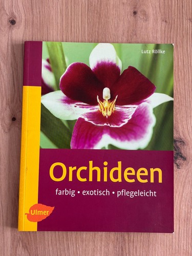 Orchideen farbig exotisch - farbig,