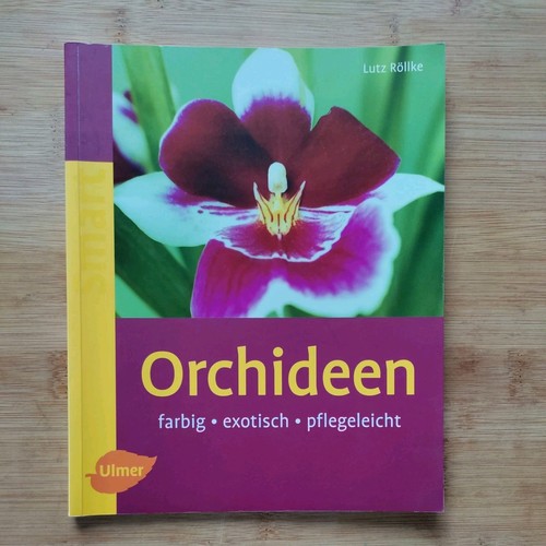 Orchideen farbig exotisch - orchideen:,