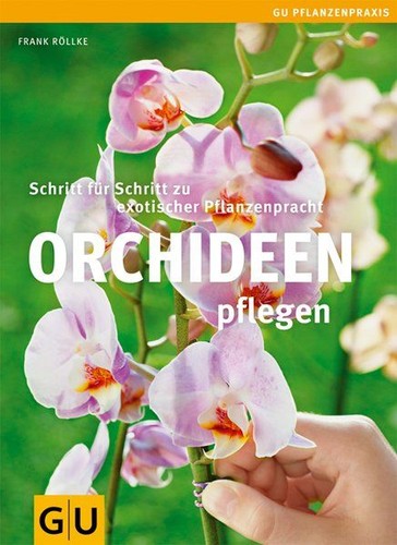 Orchideen pflegen schritt für - orchideen,