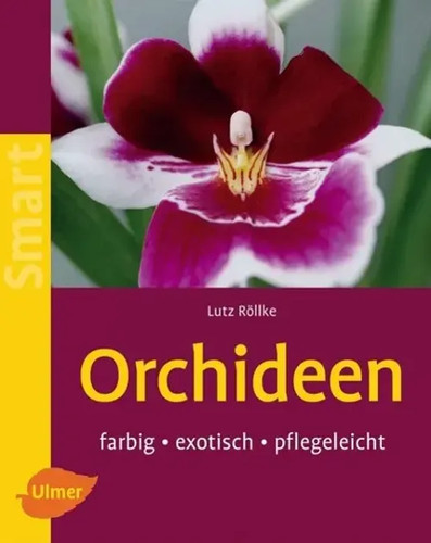 Orchideen farbig exotisch - |,