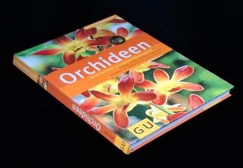 Orchideen schritt für - orchideen,