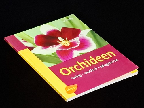 Orchideen farbig exotisch - orchideen.,