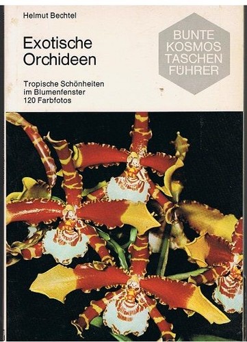 Exotische orchideen - orchideen,