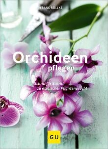 Orchideen pflegen schritt - orchideen,