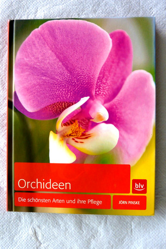 Orchideen die schönsten - die,