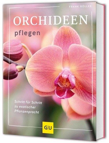 Orchideen pflegen schritt - schritt, für