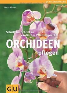Orchideen pflegen schritt - orchideen,