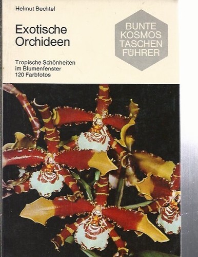 Exotische orchideen - orchideen,