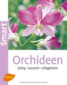 Orchideen farbig exotisch - orchideen:,